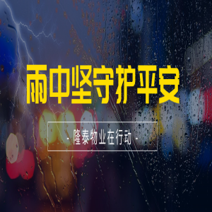 筑牢安全防線 | 隆泰物業(yè)全力開展防汛工作