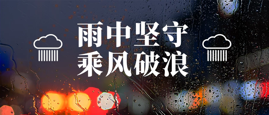 雨中堅守護家園，筑牢汛期安全墻(圖8)