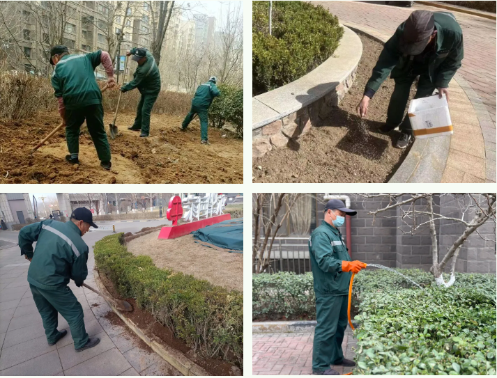 春雷行動(dòng) | 煥新春天，約你來見~(圖6)